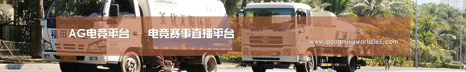 新闻动态