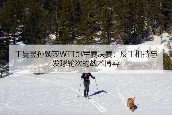 王曼昱孙颖莎WTT冠军赛决赛：反手相持与发球轮次的战术博弈