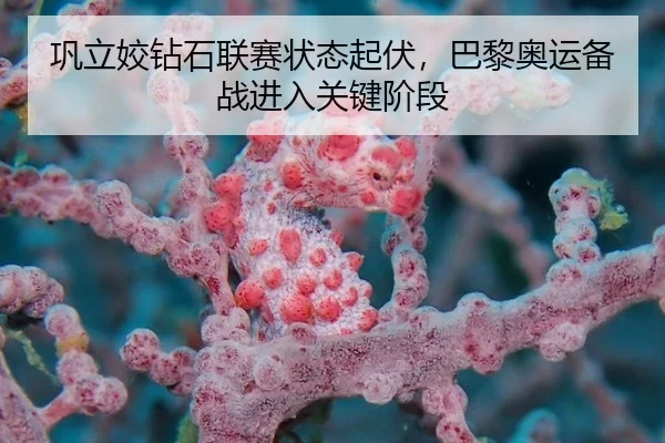 巩立姣钻石联赛状态起伏，巴黎奥运备战进入关键阶段