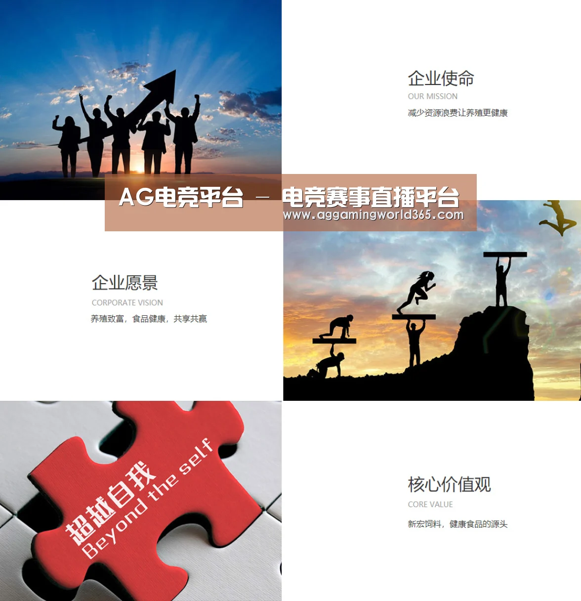 企业文化(图1)