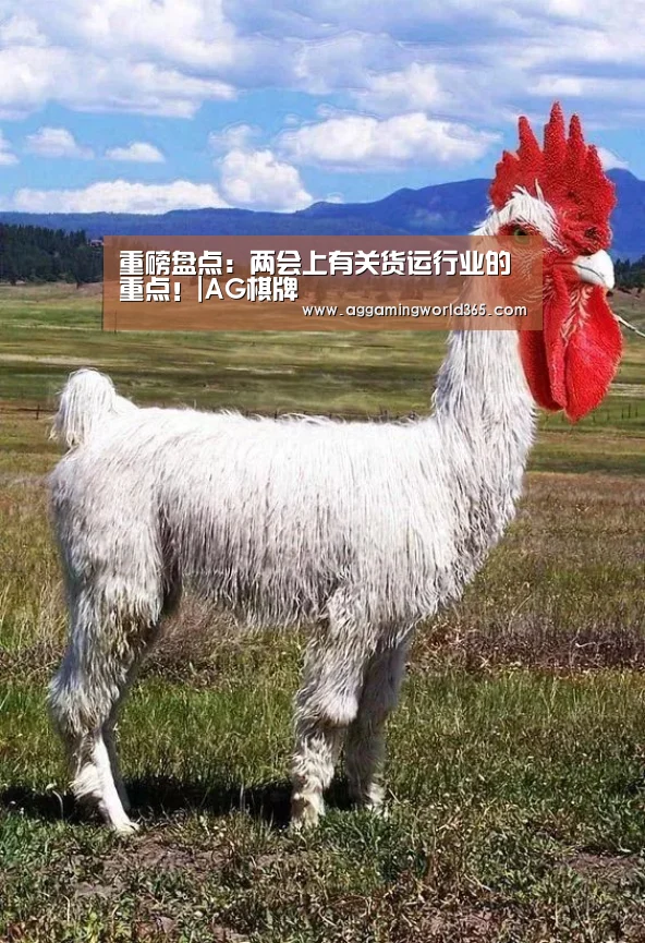 重磅盘点：两会上有关货运行业的重点！|AG棋牌