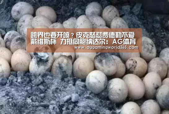 跨界也要开喷?皮克怒怼费德勒不爱戴维斯杯 力挺同胞纳达尔:AG体育